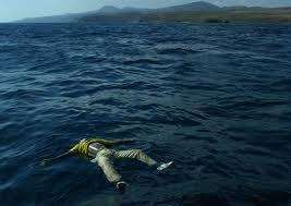 images-4